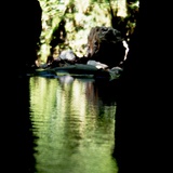 Riserva naturale dell'Orrido di Botri, Rio Pelago